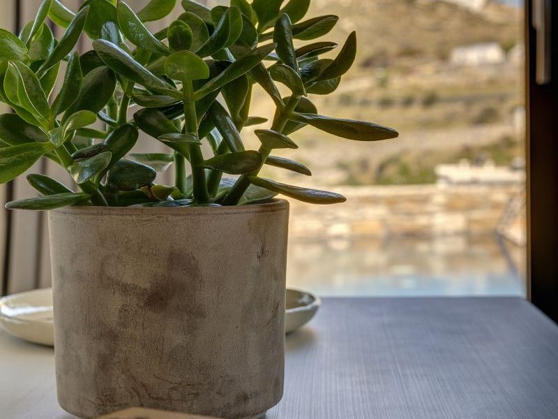 Aelia Pnoe Villas in Syros Greece