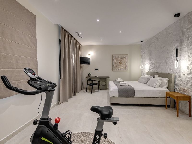 Aelia Pnoe Villas in Syros Greece